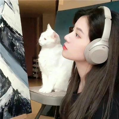 星际狗狗